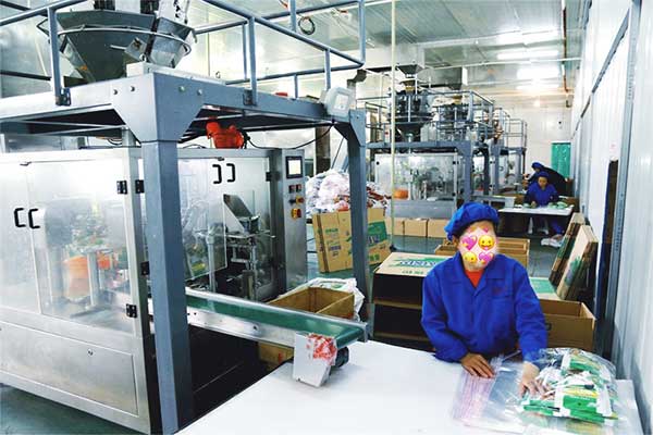 给袋式颗粒全自动91看片网址厂家